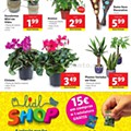 Antevisão Folheto LIDL Promoções de 14 a 20 setembro p24.jpg